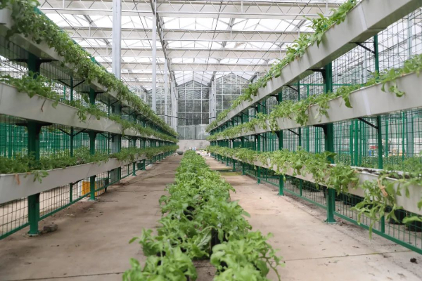 贵州百农农业有限公司生产基地.