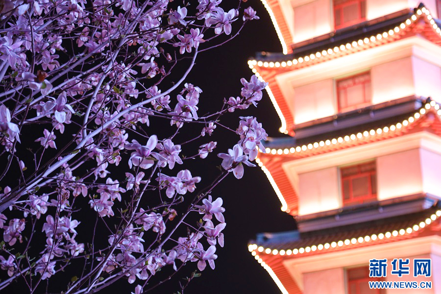 3月24日晚，郑州二七塔与玉兰花同框的景色。