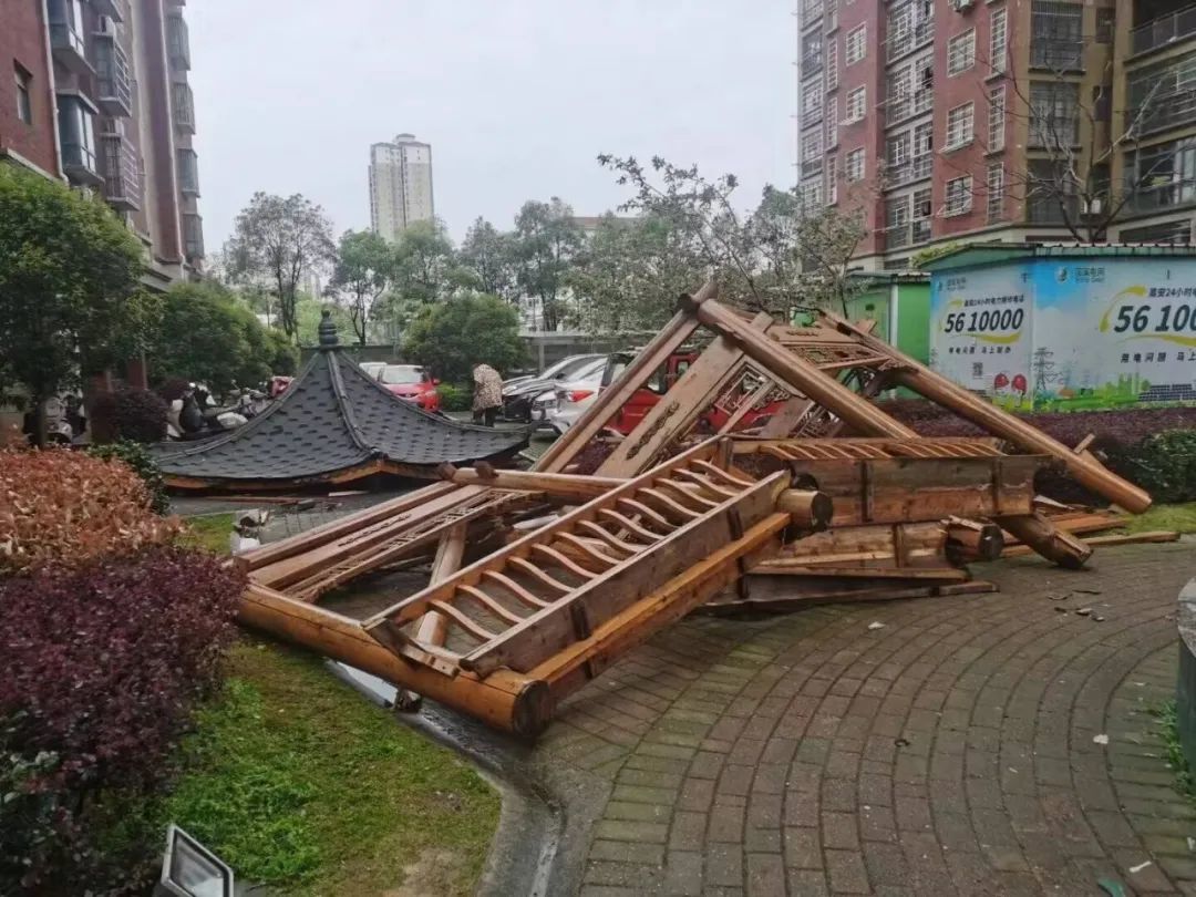 地点： 高安 拍摄： 陶豪