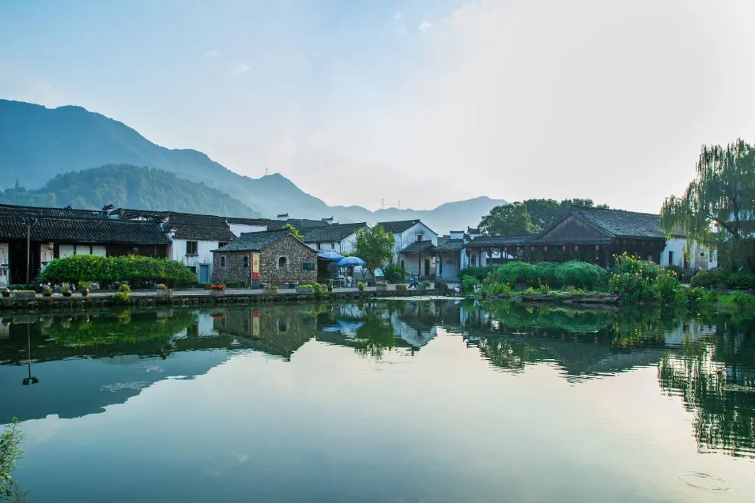 江浙的春天，别忘了富阳！