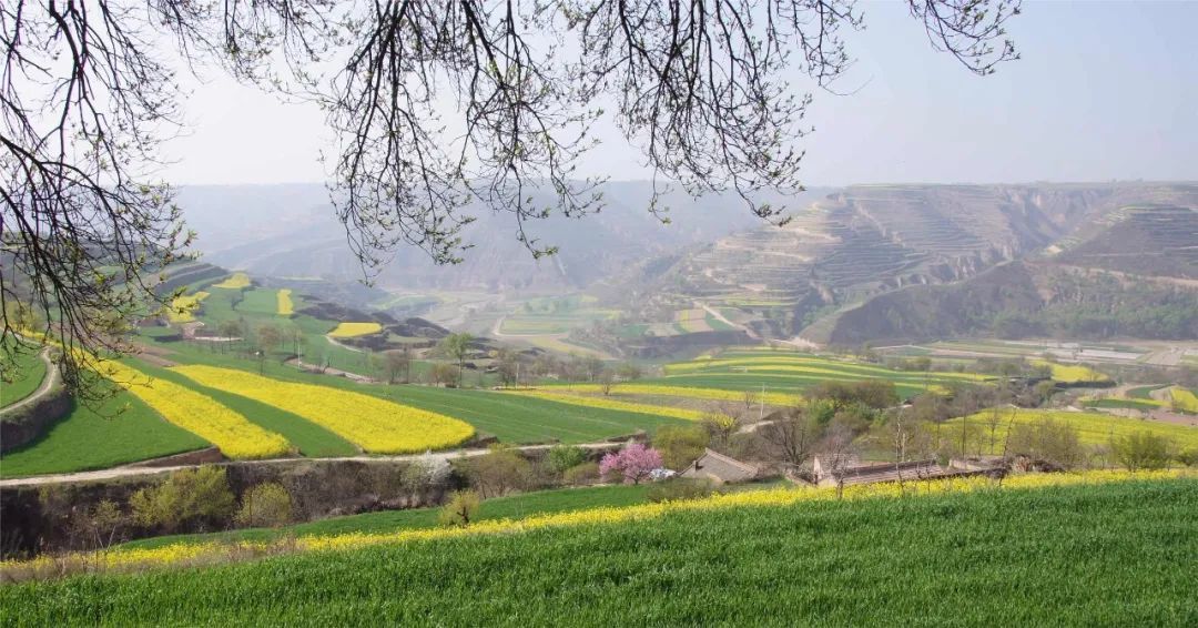 趁着春风　开启一场丝路驿站上的田园美食之旅