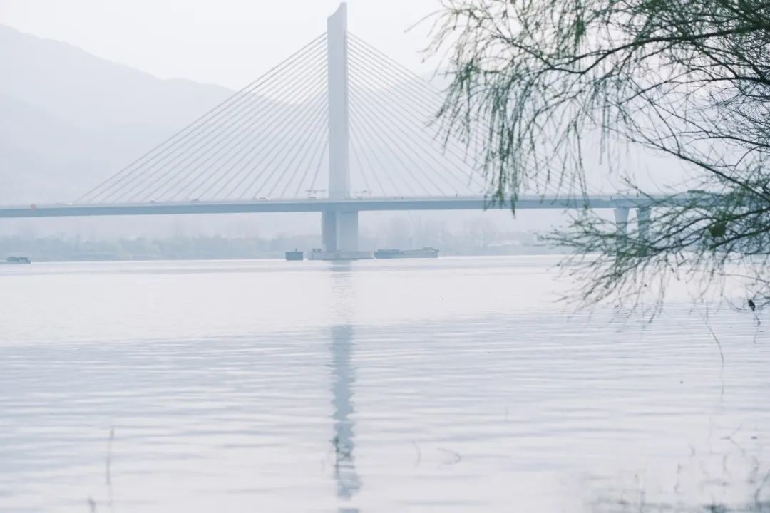 江浙的春天，别忘了富阳！