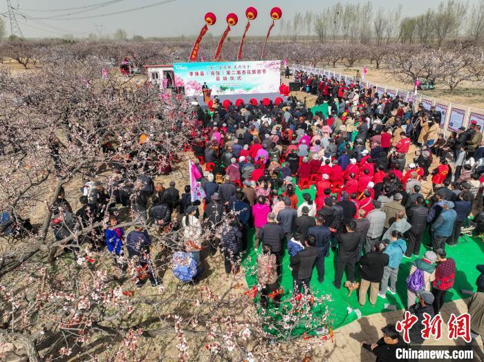 3月29日，枣强县(肖张)第二届杏花旅游节启动仪式现场。(无人机照片)李金刚摄