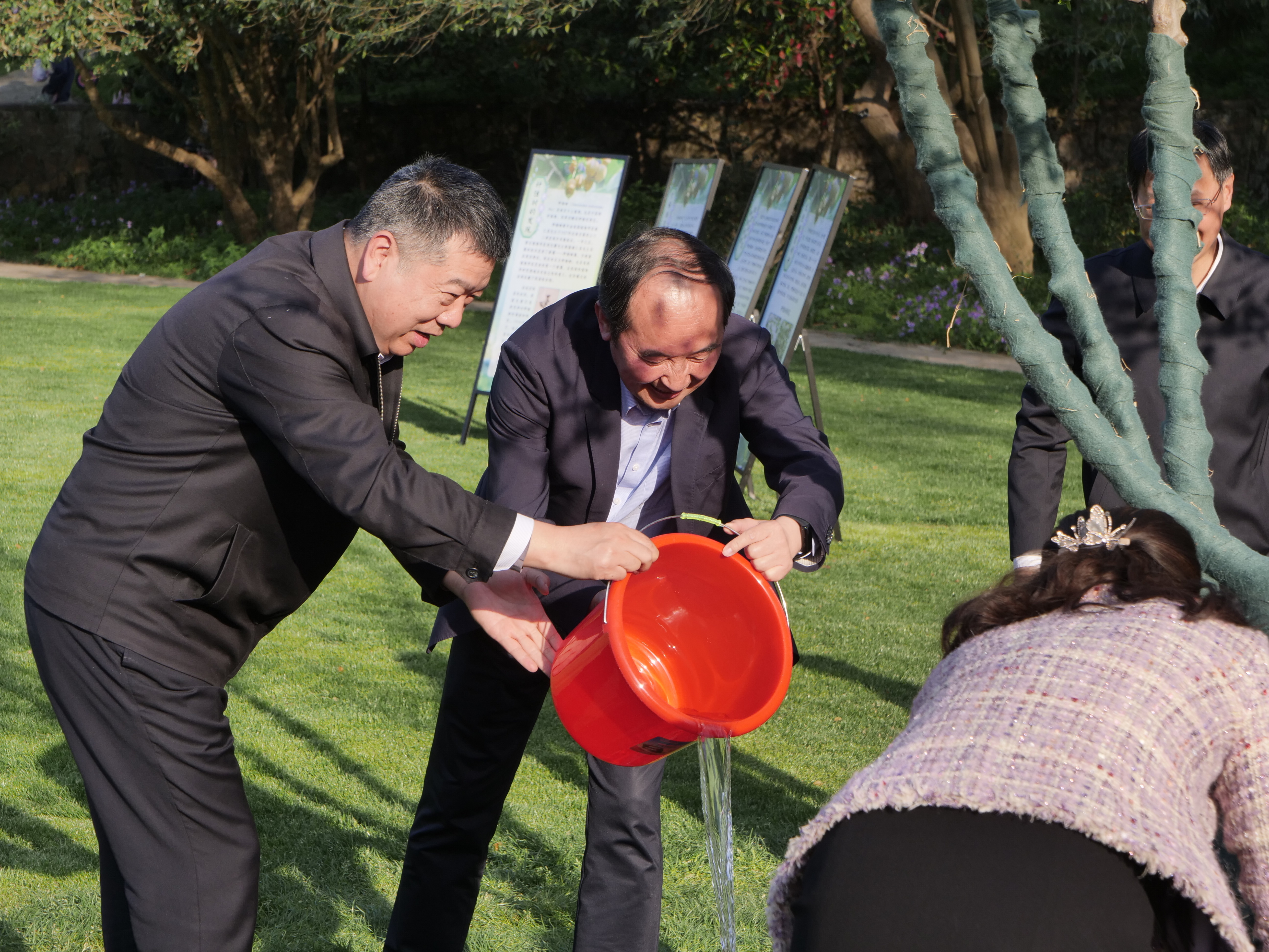 不负春光添新绿！中国植物学会大咖们在宁共植秤锤树