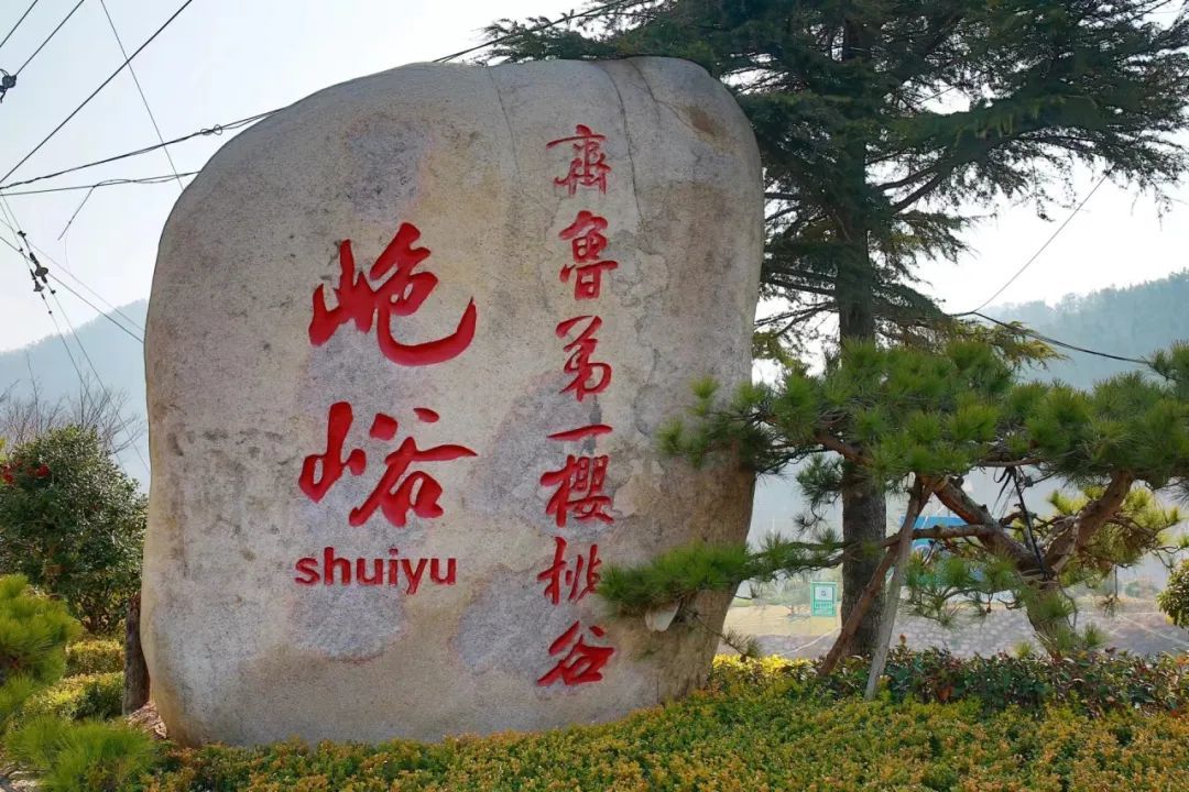 夏庄山色峪：春天的浪漫之约！三千亩樱桃花海等你来邂逅