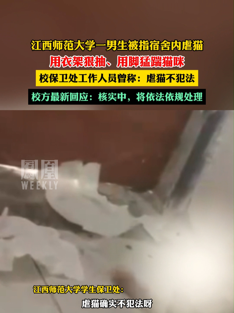 江西师范大学回应一男生宿舍内虐猫核实中会严格依法处理