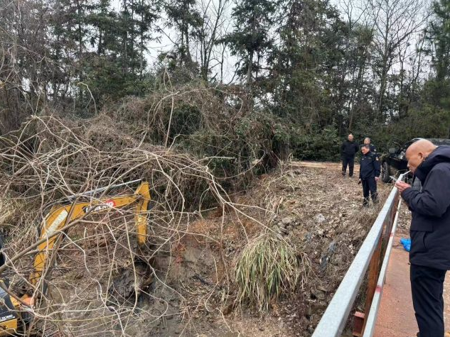 铅山鹅湖镇江村信江河岸60亩防护林被挖村民担心汛期安全