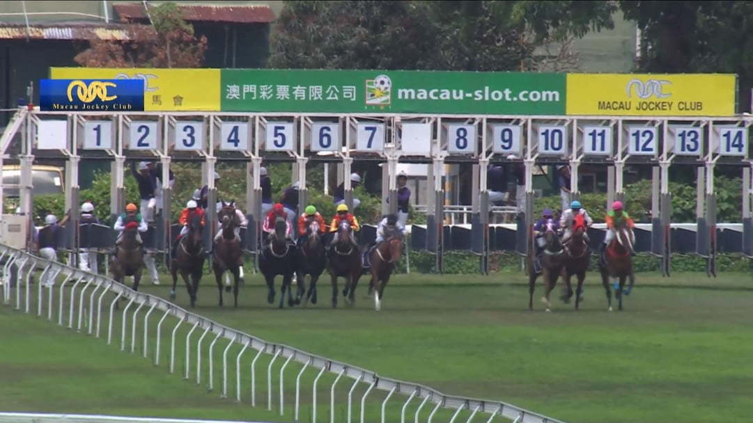 澳门赛马最后一日不少马迷现场观赛