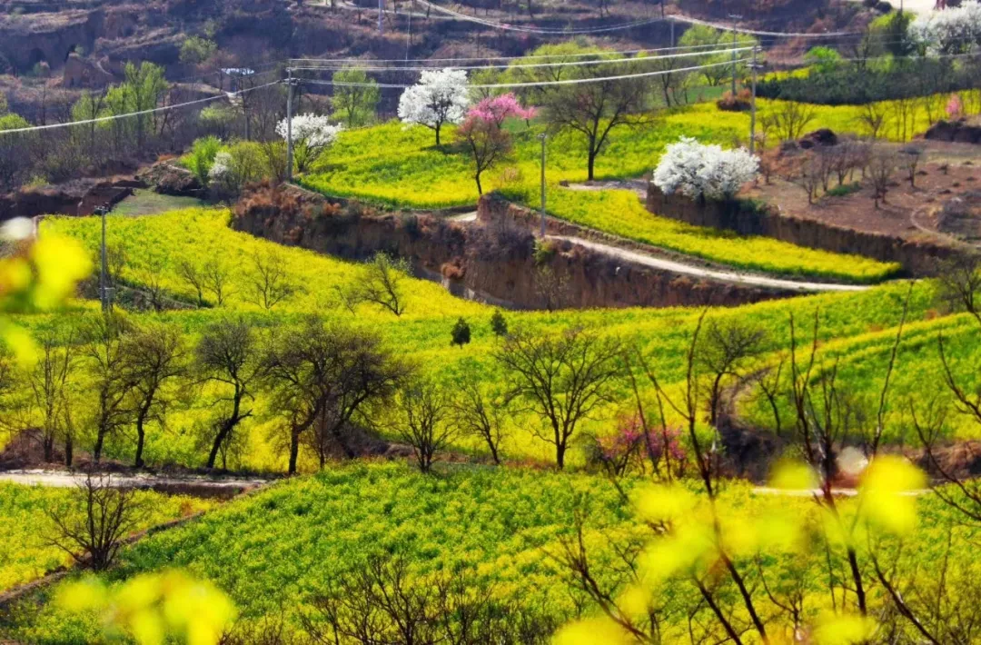 蒲河川田园风光