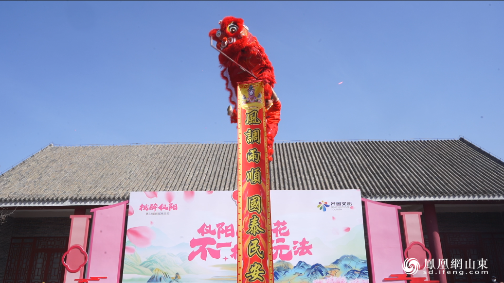 肥城市第二十三届桃花节·仪阳桃花游暨“桃之夭夭”仪阳春日花朝节启幕