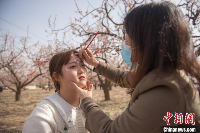 3月29日，游客正在杏花林里做面部杏花彩绘。李金刚摄