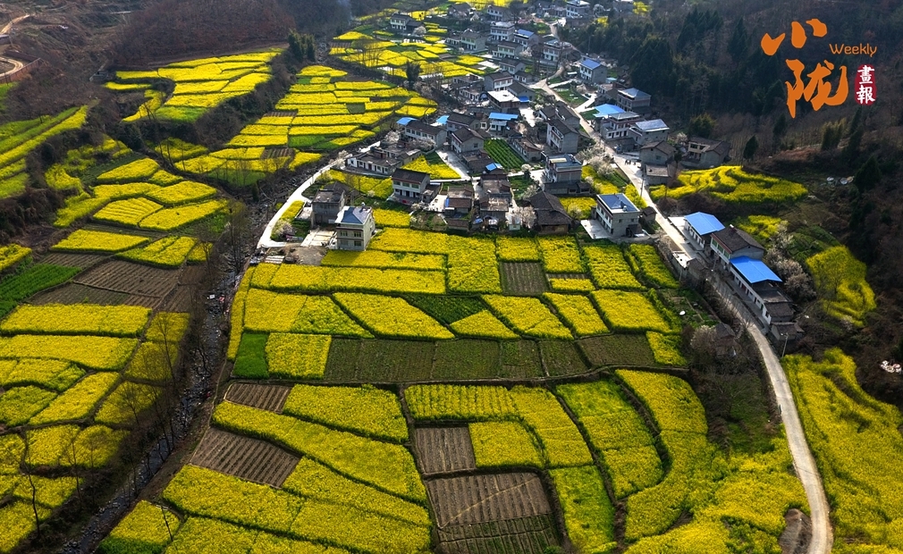 花染陇南满目春 青山绿水入画来凤凰网甘肃_凤凰网