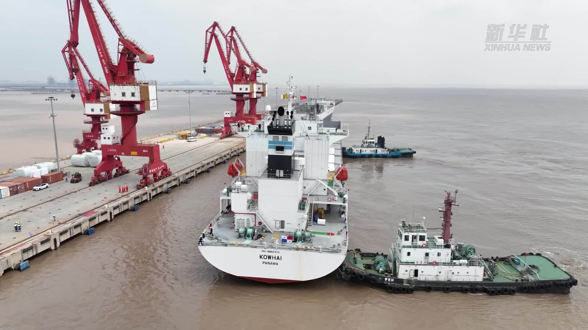 全球首艘新西兰奇异果冷藏包船抵达上海