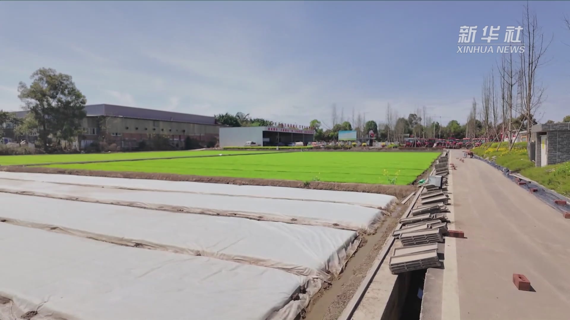 人勤春光好天府粮仓春耕忙