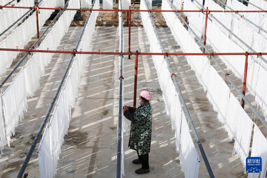 3月27日，工人在甘肃省定西市安定区凤翔镇的一家“定西宽粉”加工企业晾晒宽粉。新华社发（王克贤　摄）