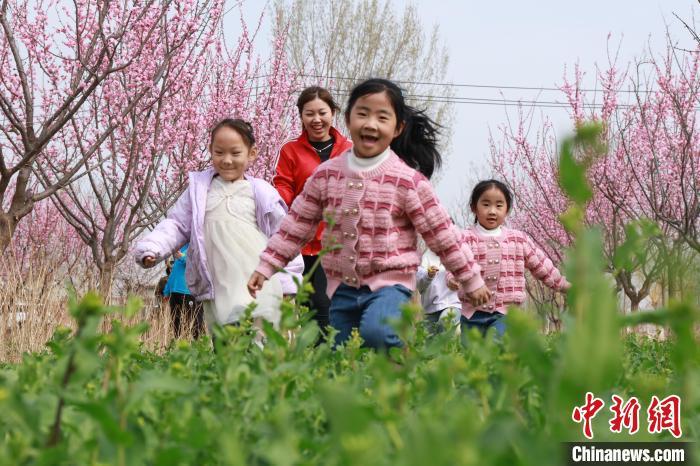 3月28日，孩子们正在梅花树下玩耍。尚长治摄