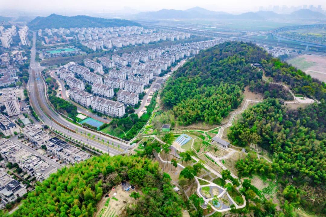 百草园慢行步道开了野趣十足还可登高观景