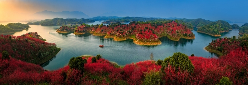 江西武宁赏花经济带火生态旅游