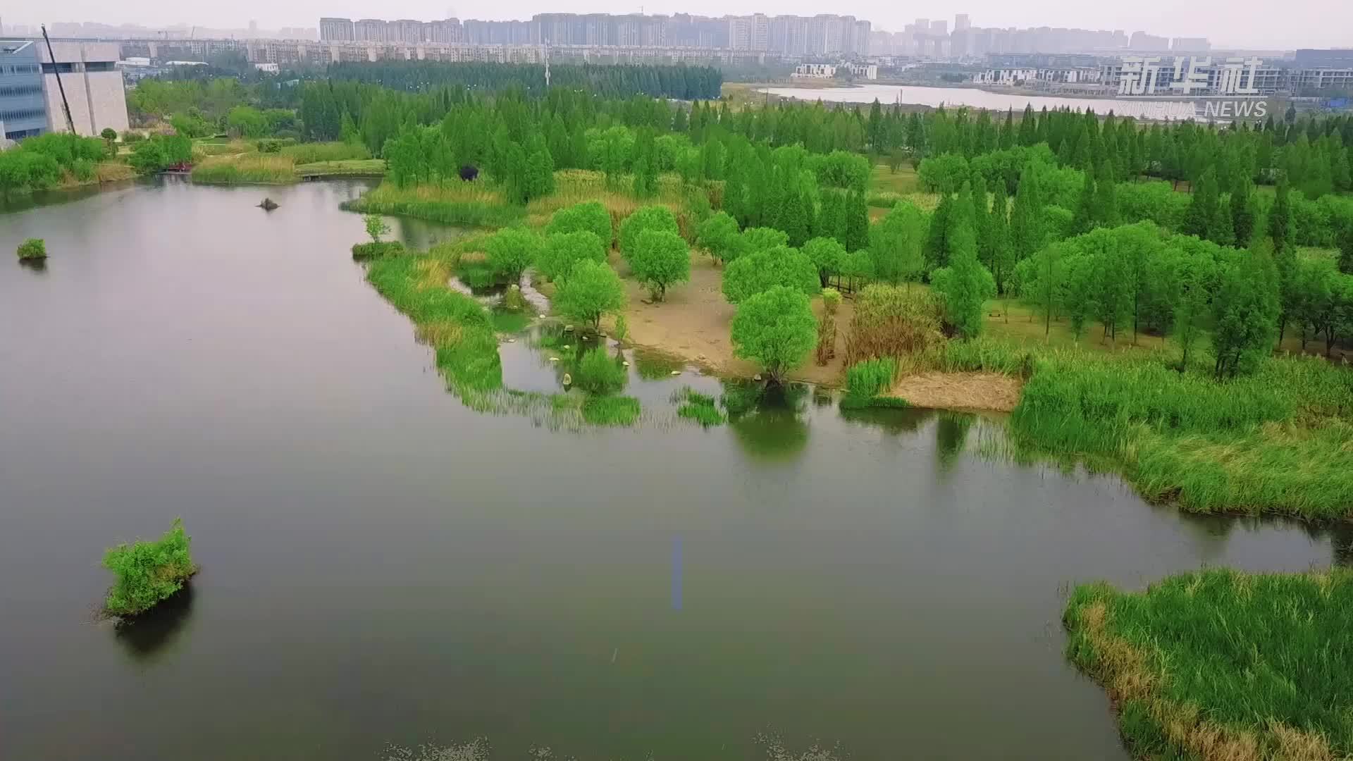 云南昆明:宝丰湿地 春景如画_凤凰网视频_凤凰网