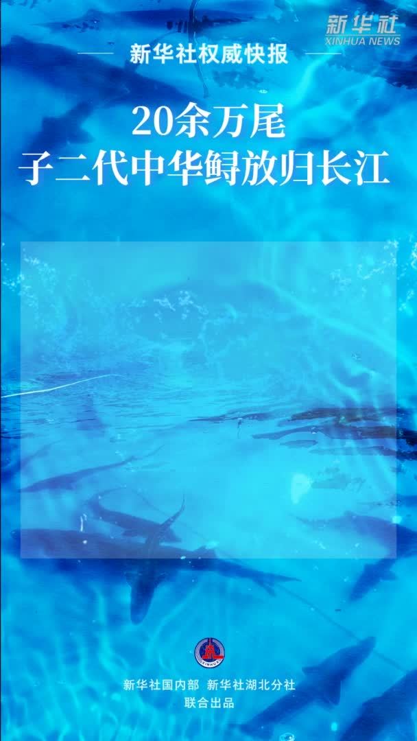 20余万尾子二代中华鲟放归长江