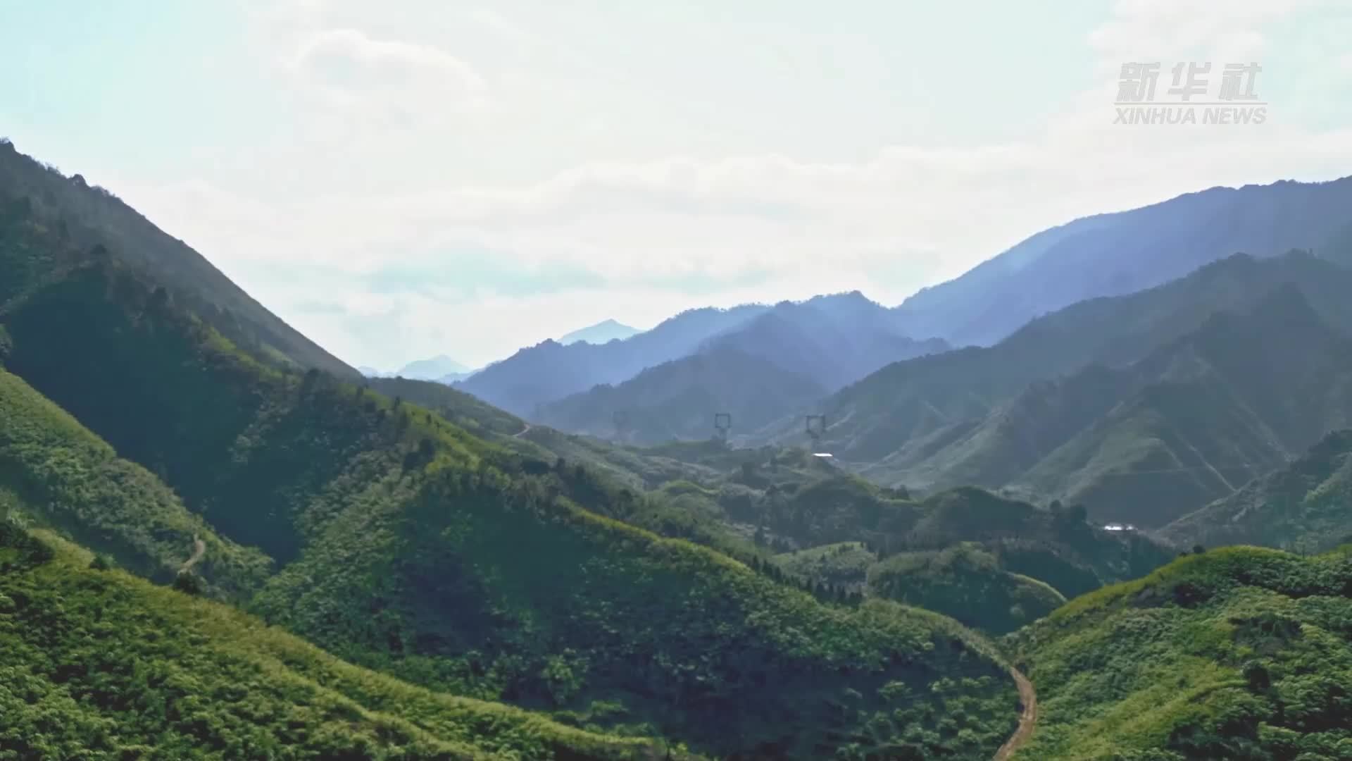 千城胜景｜云南大关：筇竹原始森林秘境美