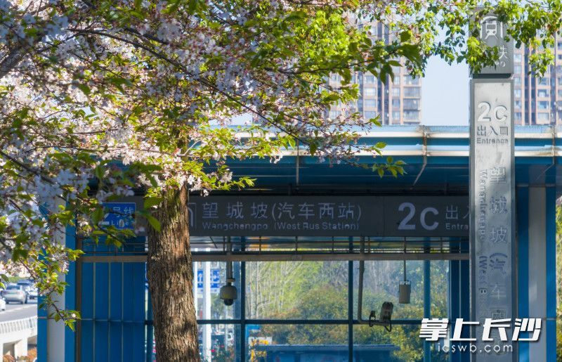 地铁2号线望城坡（汽车西站）2C出入口。