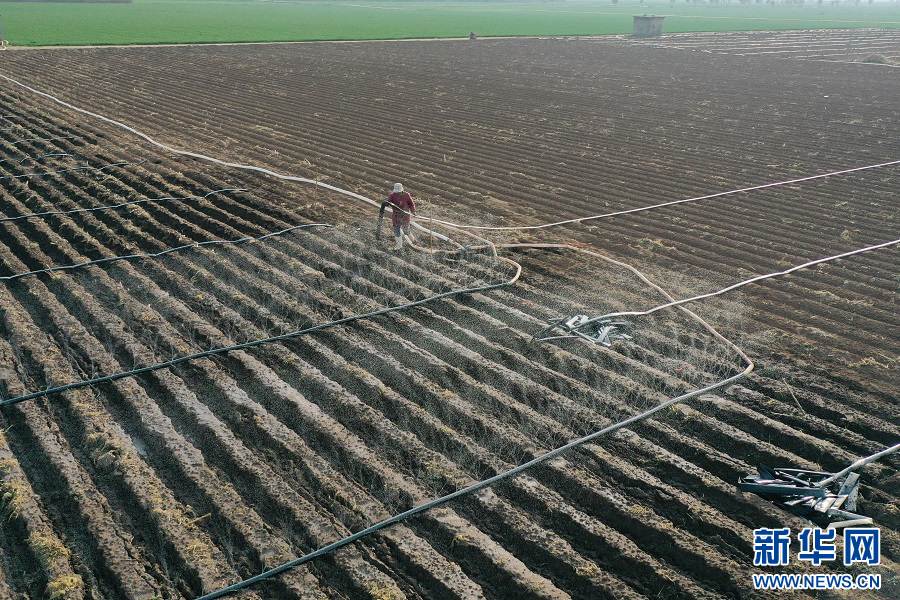3月21日，河南省沁阳市崇义镇东兰户村，农民在为农田浇水（无人机照片）。