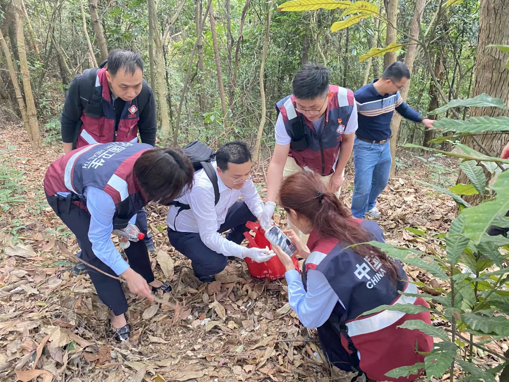 野生蘑菇进入生长旺盛期，谨防毒蘑菇中毒
