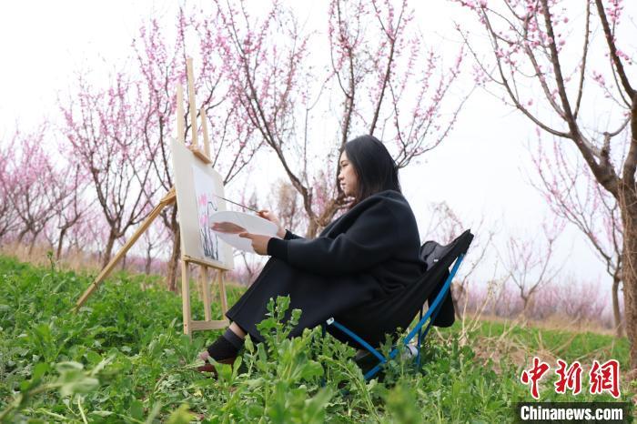 3月28日，一女子正在梅花种植基地写生。尚长治 摄