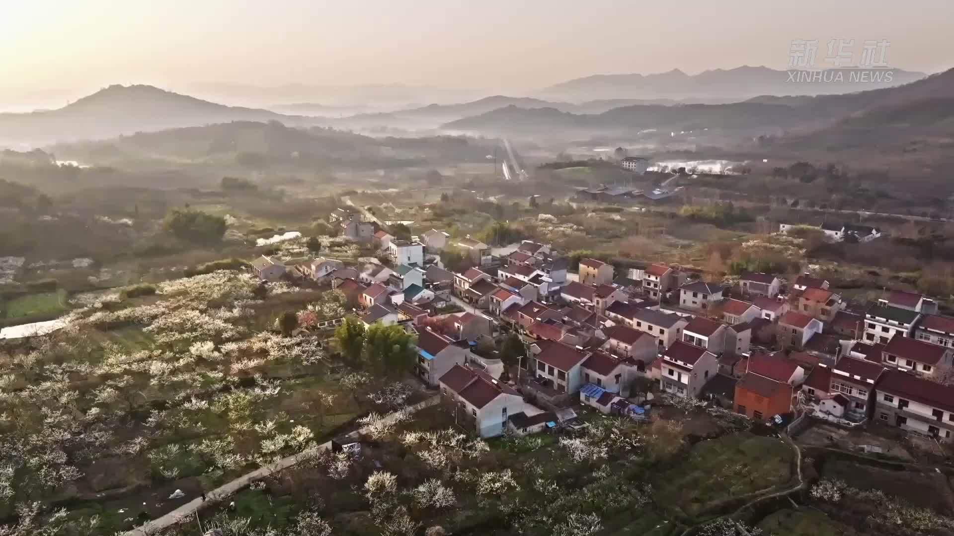 溧水区永阳镇图片