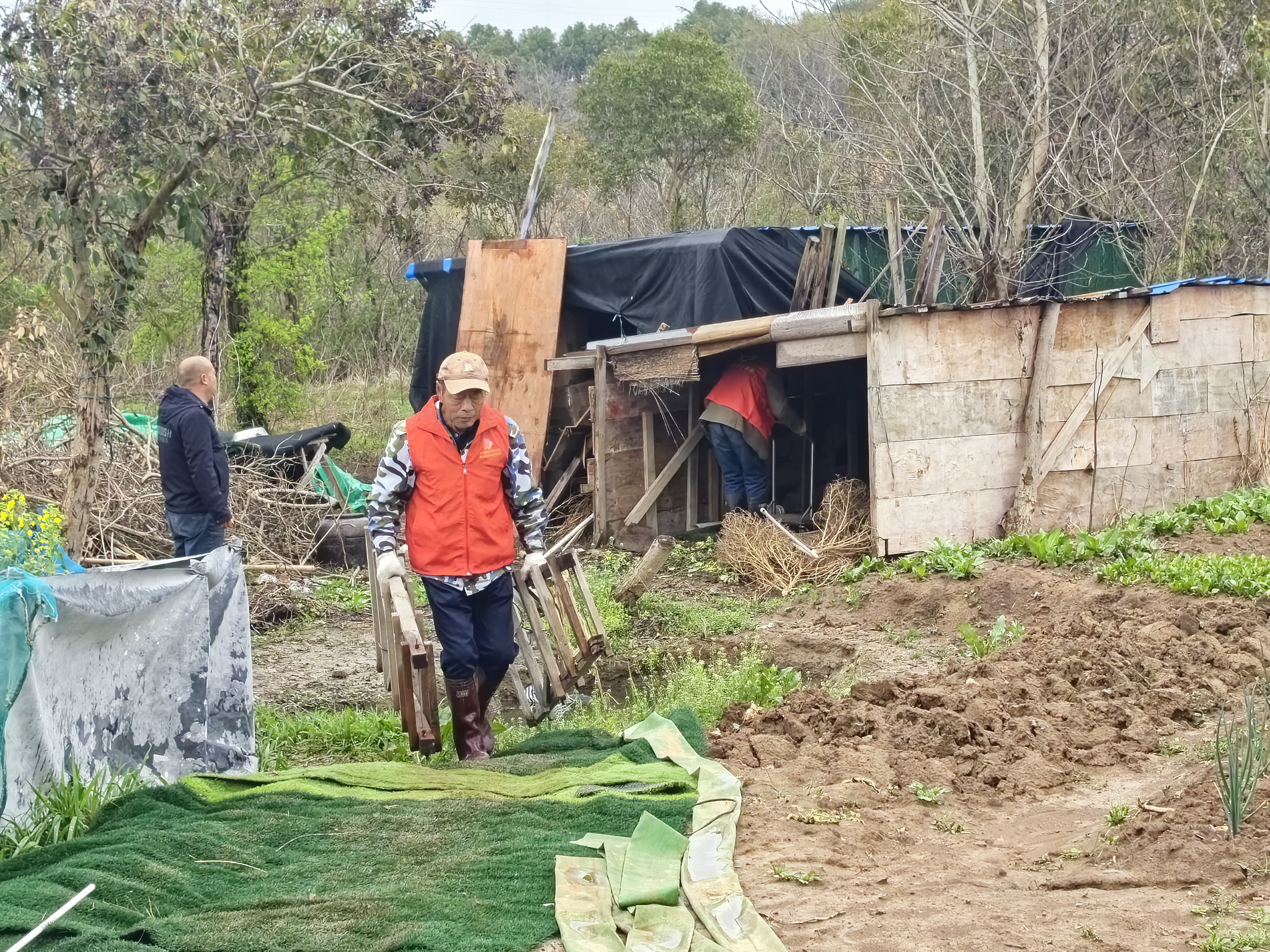 南京江宁区深入推进环境综合整治提升工作