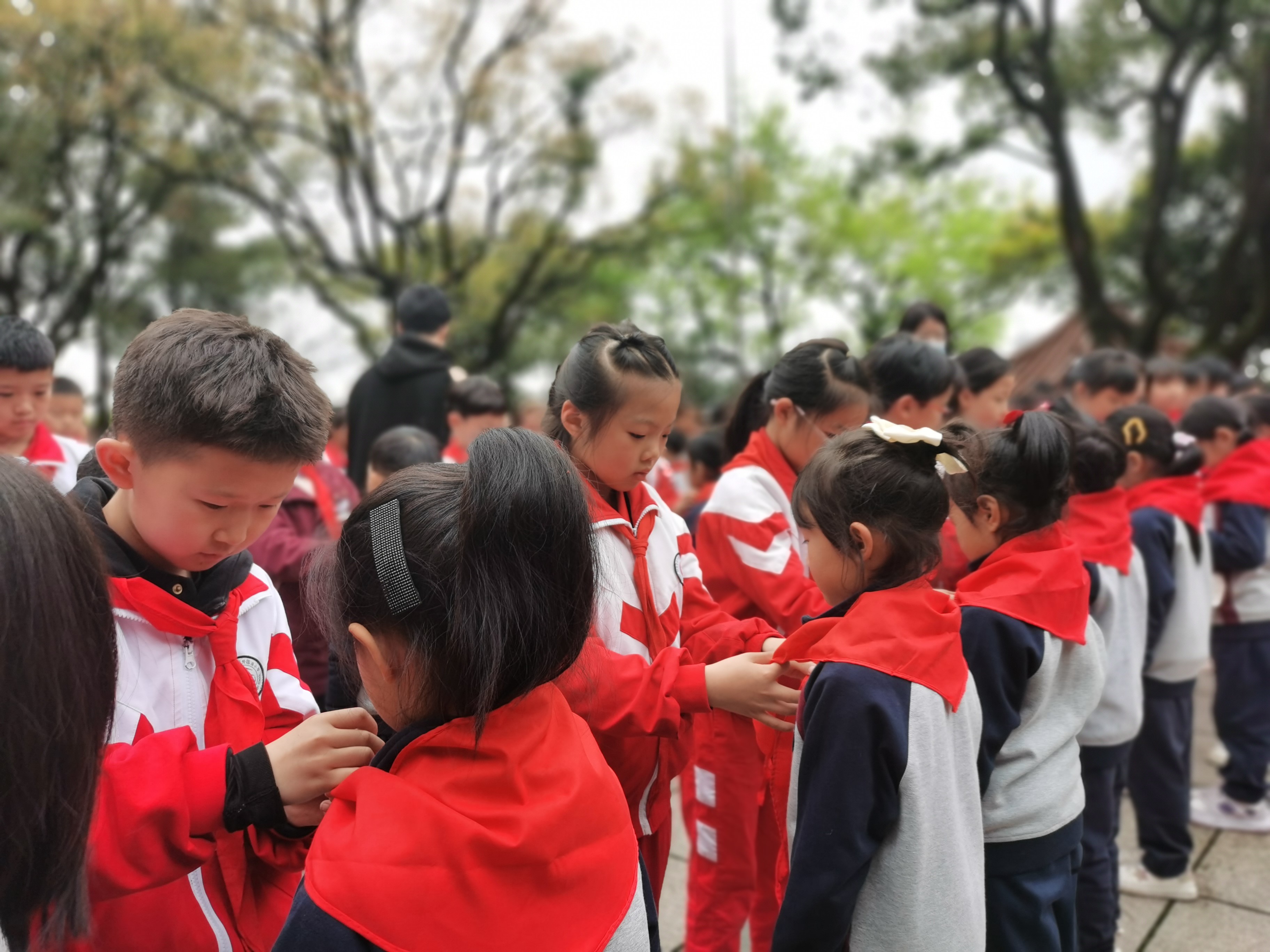 重温誓言寻初心,缅怀先烈承遗志 金成外国语小学开展清明祭英烈活动