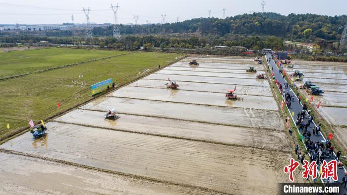 3月22日，江西省新余市渝水区珠珊镇洋津村，南方稻作区生产全程机械化演示展示现场，各类农机正在进行水稻机械化栽植及智能化、信息化技术作业演示。谭建荣摄