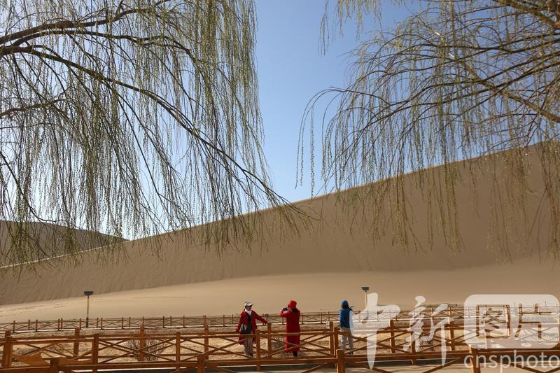 2024年3月24日,游客在甘肃省敦煌市鸣沙山月牙泉景区游览。中新社发 张晓亮 摄