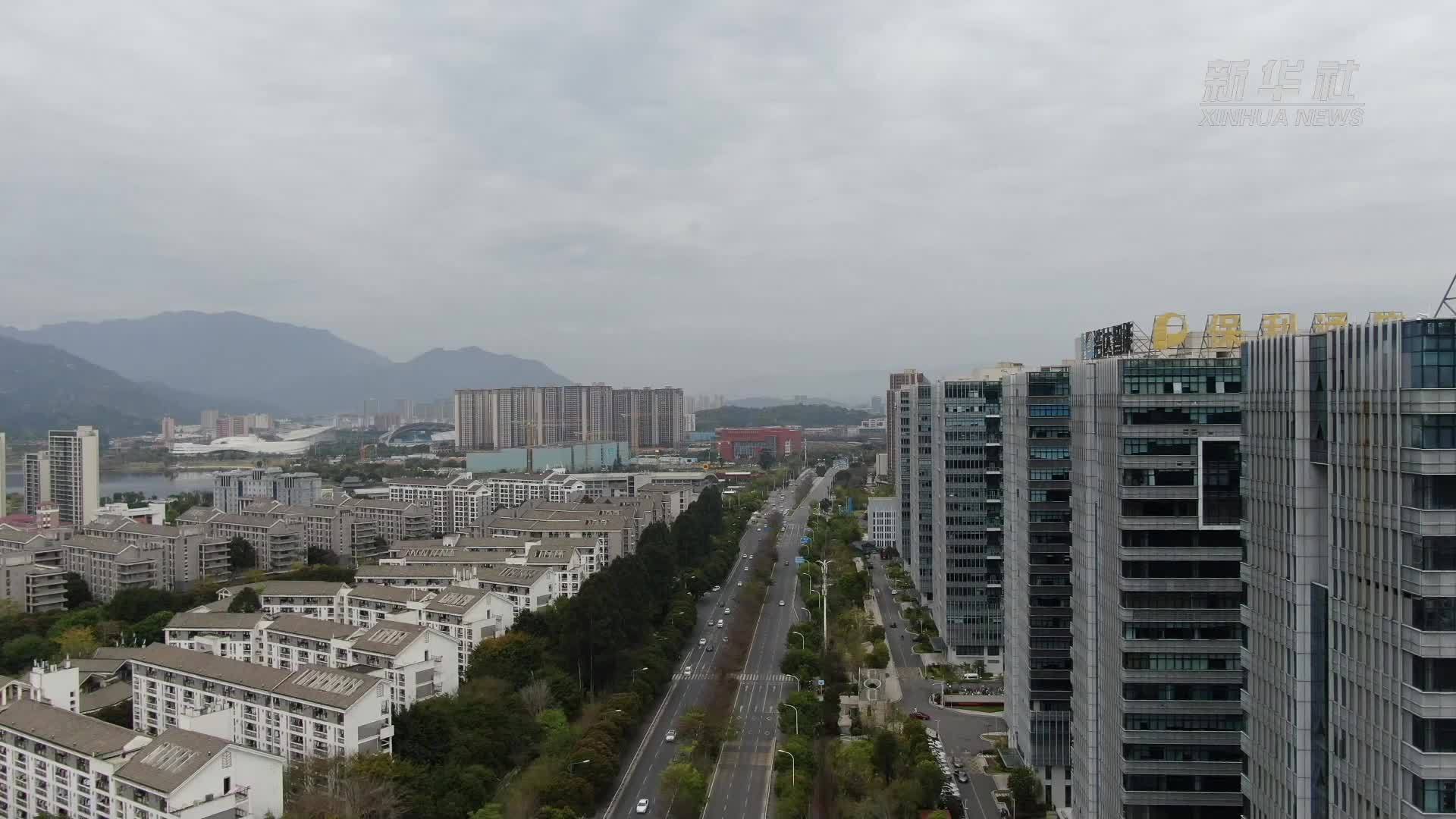 新质生产力·专精特新｜“小巨人”企业里看“创新密码”