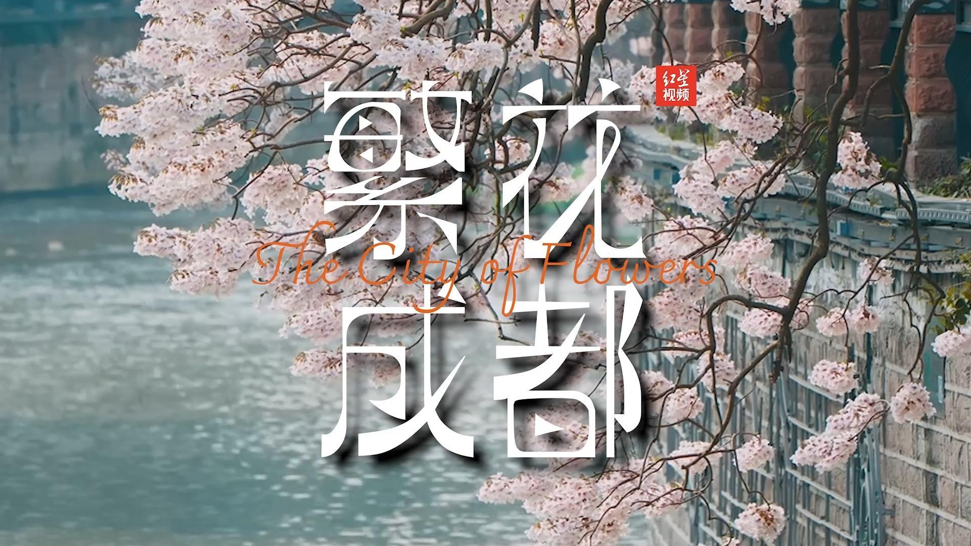 火出圈的三角梅花墙，点赞第一的油菜花配地铁站……花、木、人，赋予了成都独特的浪漫颜色。2024成都世园会倒计时30天，我们在繁花成都等你