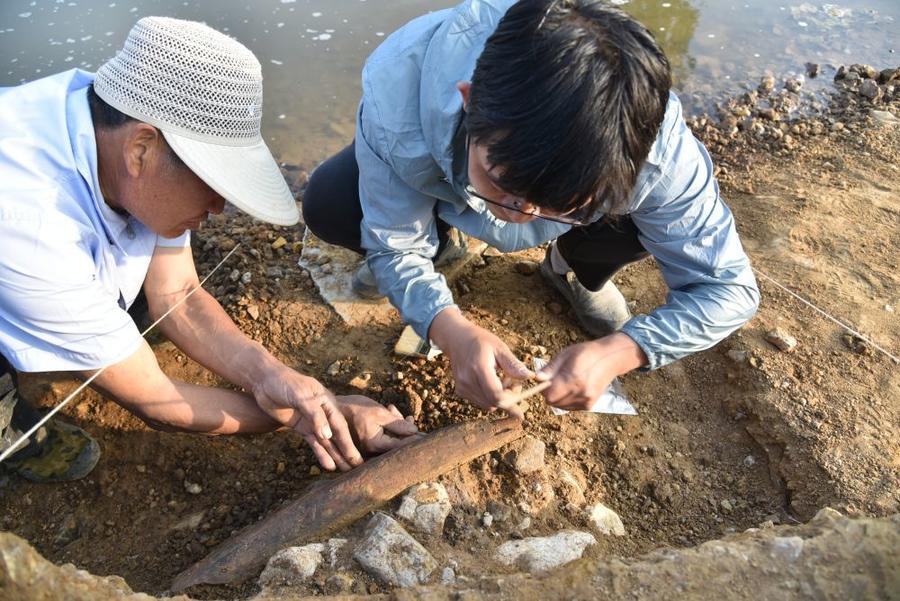 2021年5月12日，项目负责人李罡（右）在清理出土的象牙质铲形器。