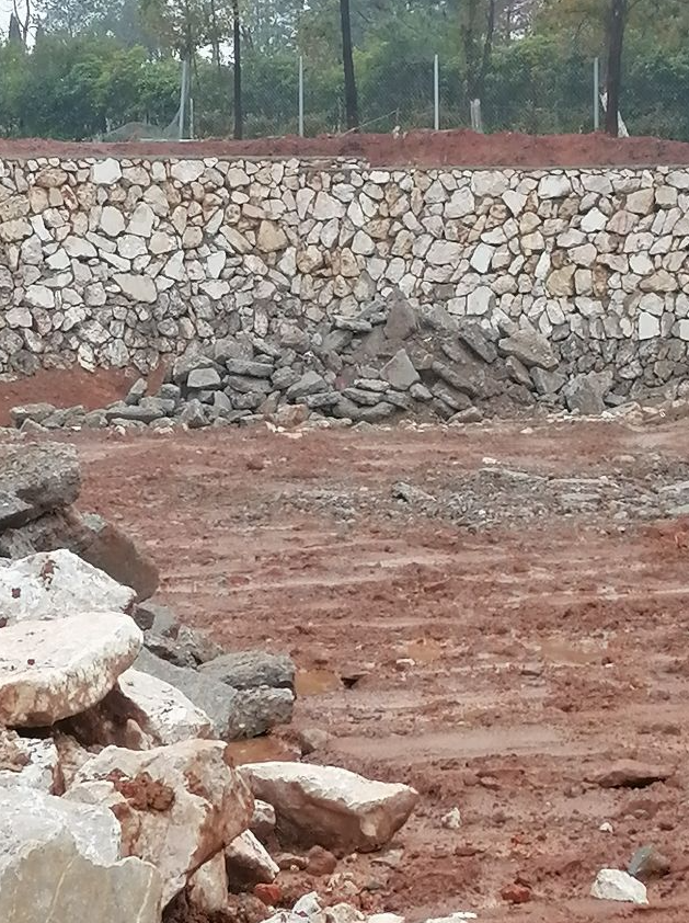 铅山鹅湖镇江村信江河岸60亩防护林被挖村民担心汛期安全