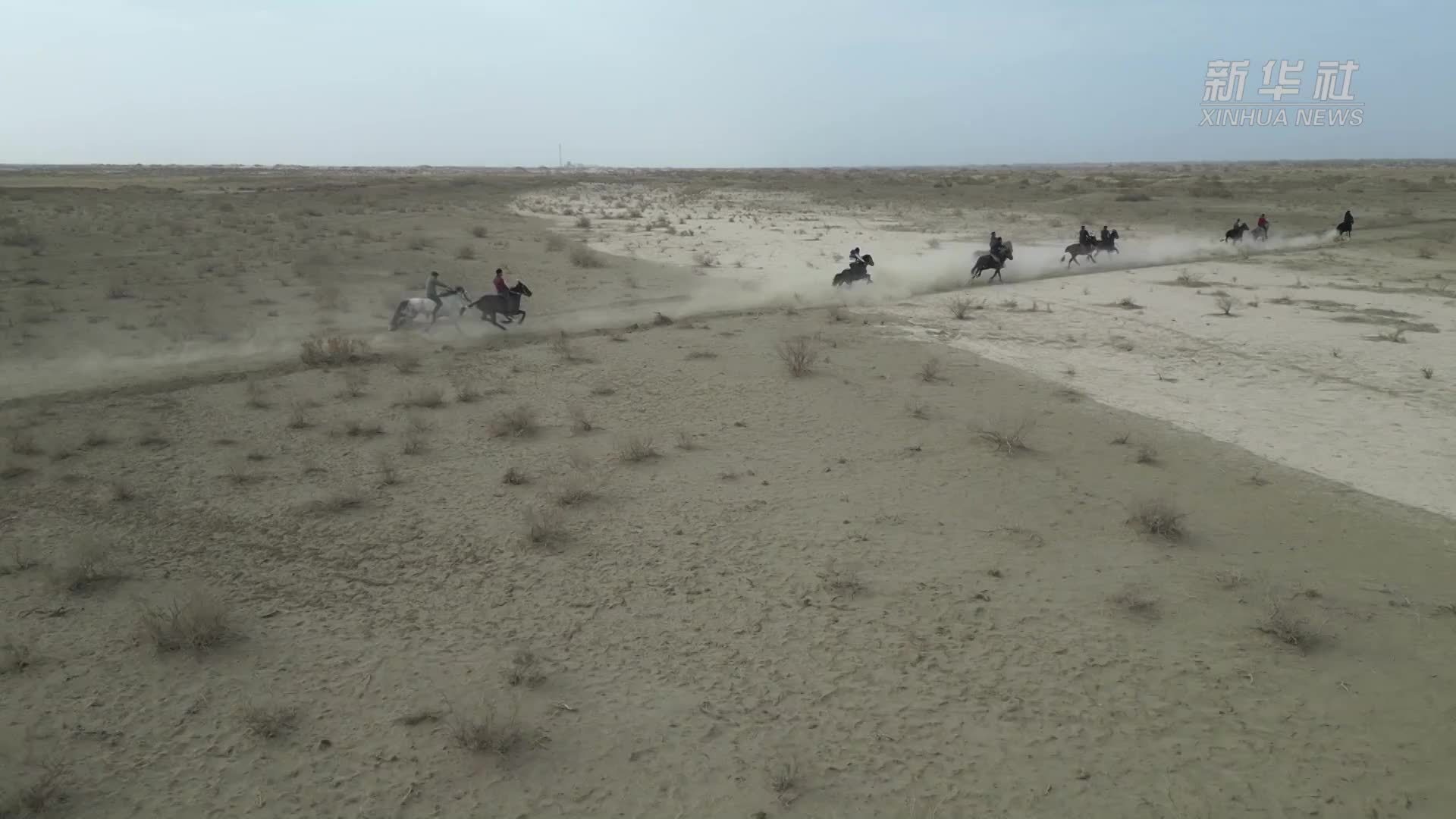新疆尉犁县春日戈壁马蹄疾