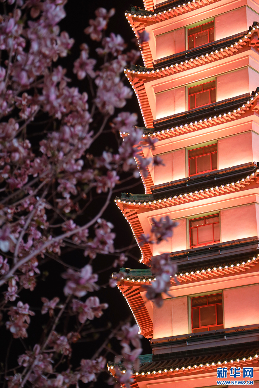 3月24日晚，郑州二七塔与玉兰花同框的景色。