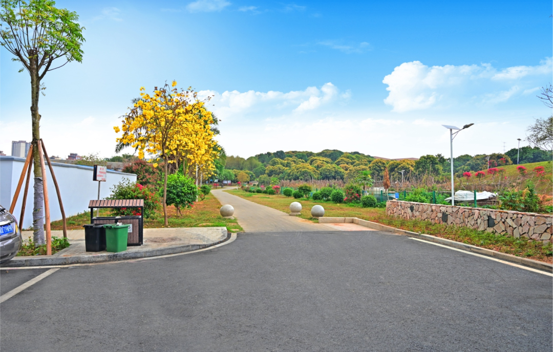 擦亮东莞都市生活名片 东莞城管公布1,2月份"最美"榜单凤凰网东莞_凤