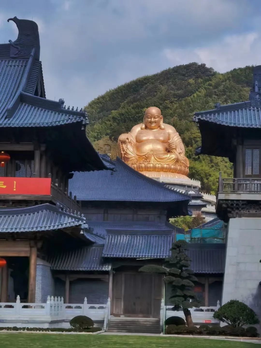 全省唯一奉化亮相地球一小时中国主场活动