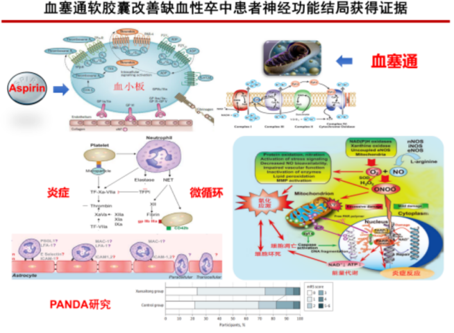 https://img.toumeiw.cn/upload/ajax/20240329/b11fa5fa8294fa5d709c09f44f2c8e3d.png