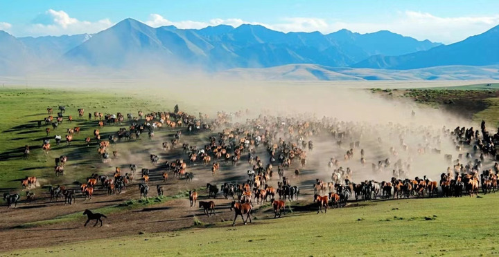 祁连山下张掖市山丹军马场 图片来源:甘肃省文化和旅游厅