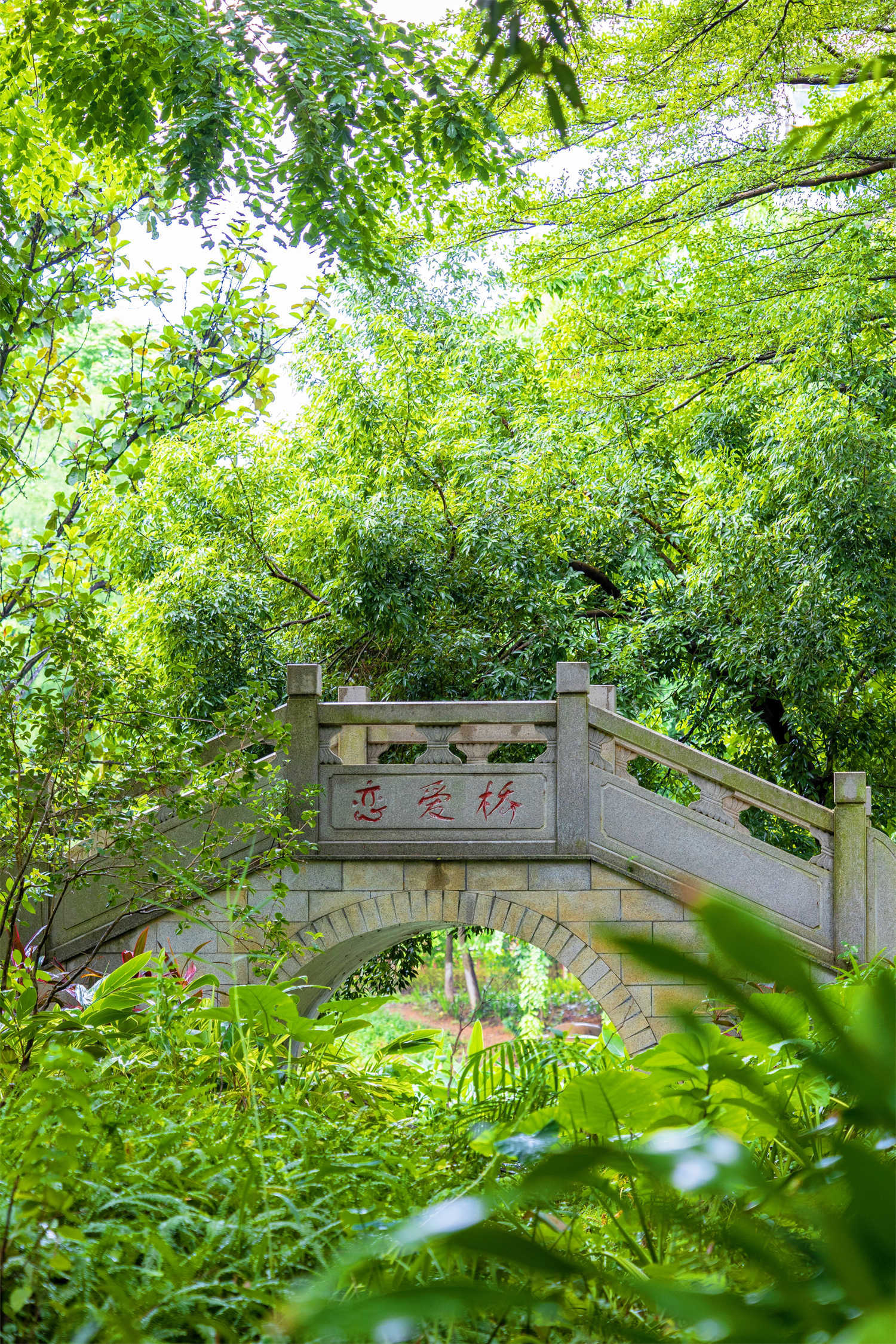 如果来清溪，一定要到这里看一看