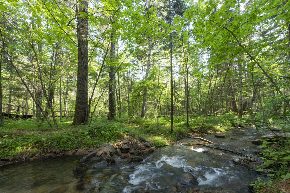 伊春市上甘岭溪水国家森林公园景色(无人机照片,2021年6月2日摄)。新华社记者 谢剑飞 摄