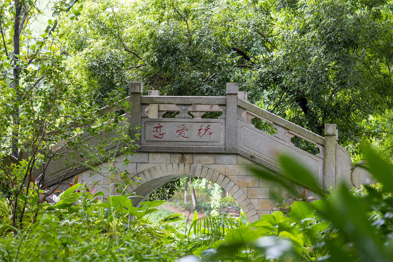 如果来清溪，一定要到这里看一看