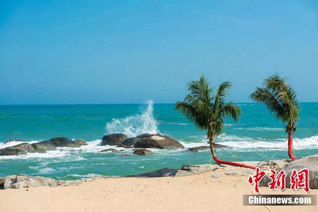 文昌龙楼镇静谧的海湾。骆云飞 摄