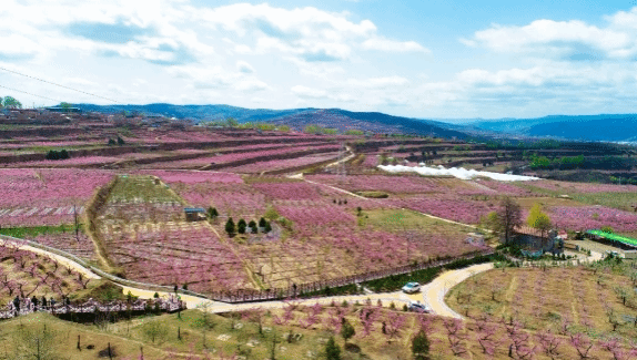 天水秦安除了有好吃的麻辣烫 地方美食更是令人叫绝