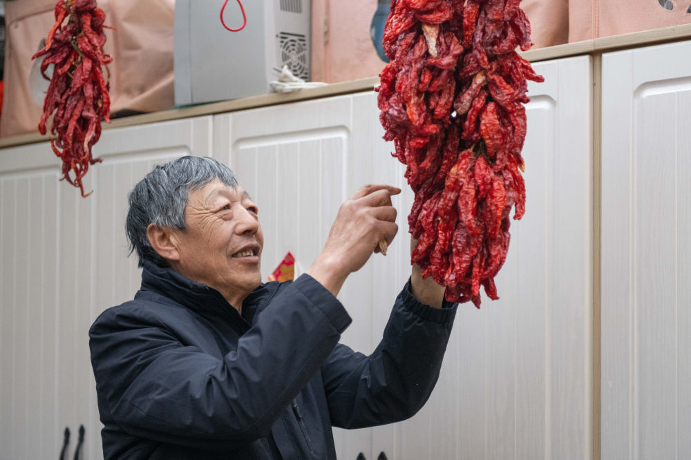 在伊春市友好区,伊春森工集团退休职工刘养顺在自家农家乐中摘取辣椒(2024年3月13日摄)。新华社记者 谢剑飞 摄